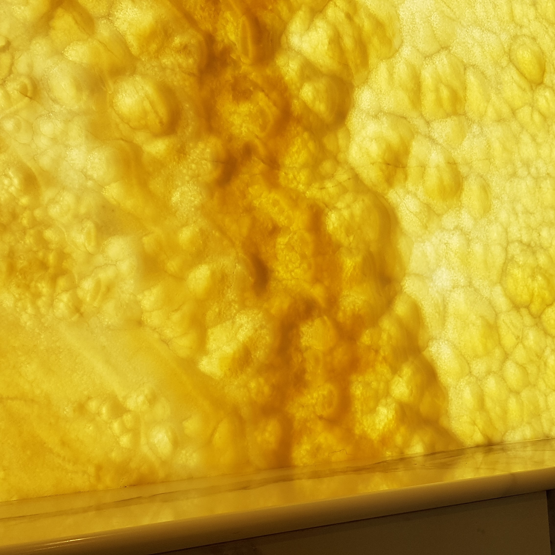 20210722_144441.jpg